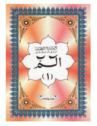 The Holy Quran in 30 Individuals parts (Persian/Urdu script)