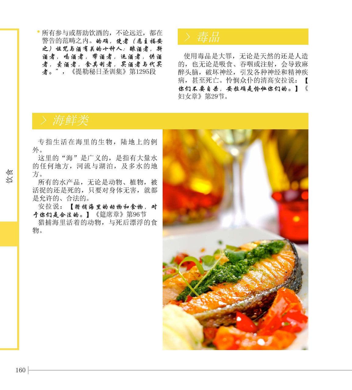 New Muslim Guide 新穆斯林指南 (Chinese)