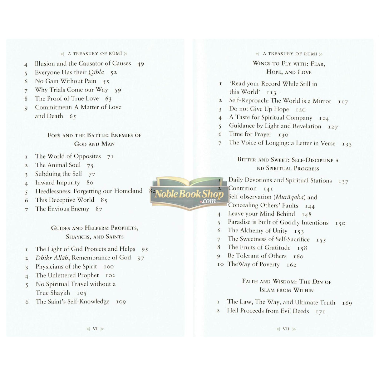 A Treasury of Rumi's Wisdom (Treasury in Islamic Thought and Civilization)