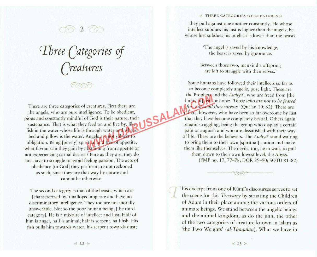 A Treasury of Rumi's Wisdom Treasury in Islamic Thought and Civilization, 9781847741028