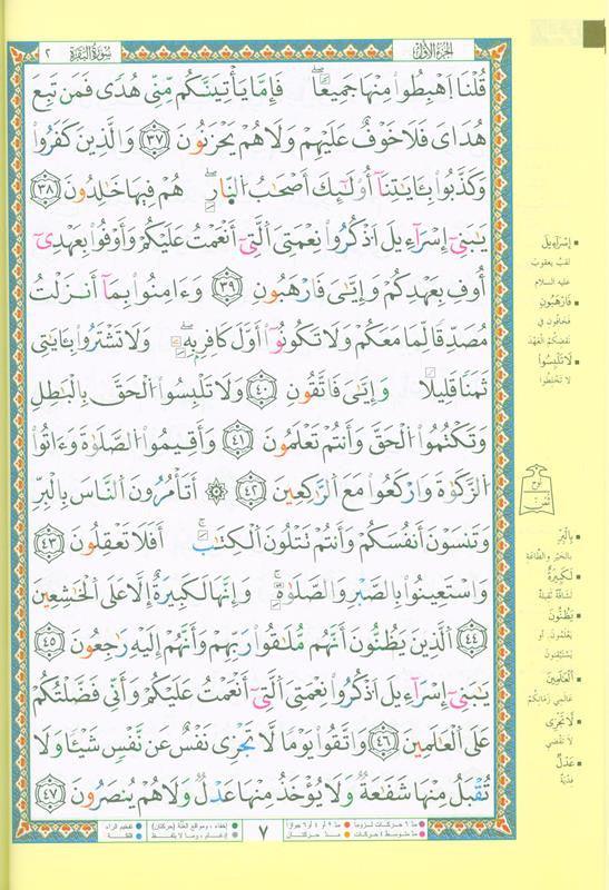 Tajweed Quran in Douri Reading (22440)