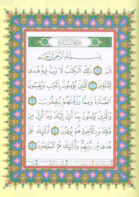 Tajweed Quran Al Kisai with Two Narrations Al-Doori & Abu Harith Reading (21641)