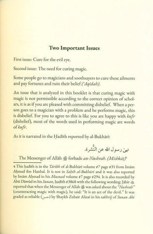 The Legislated Method for Treating Magic and the Evil Eye (25024) The Legislated Method for Treating Magic and the Evil Eye (25024)