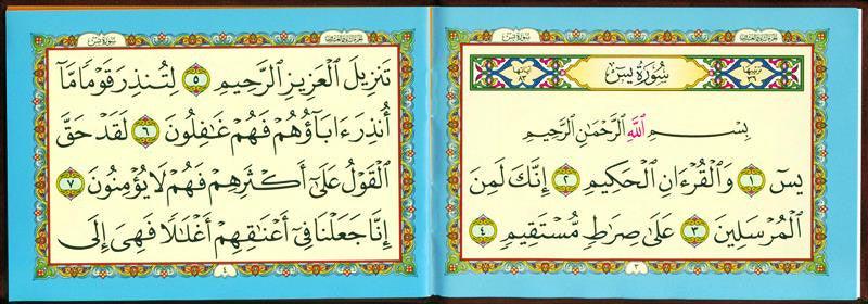 Surah Ya-Seen Red (24935)