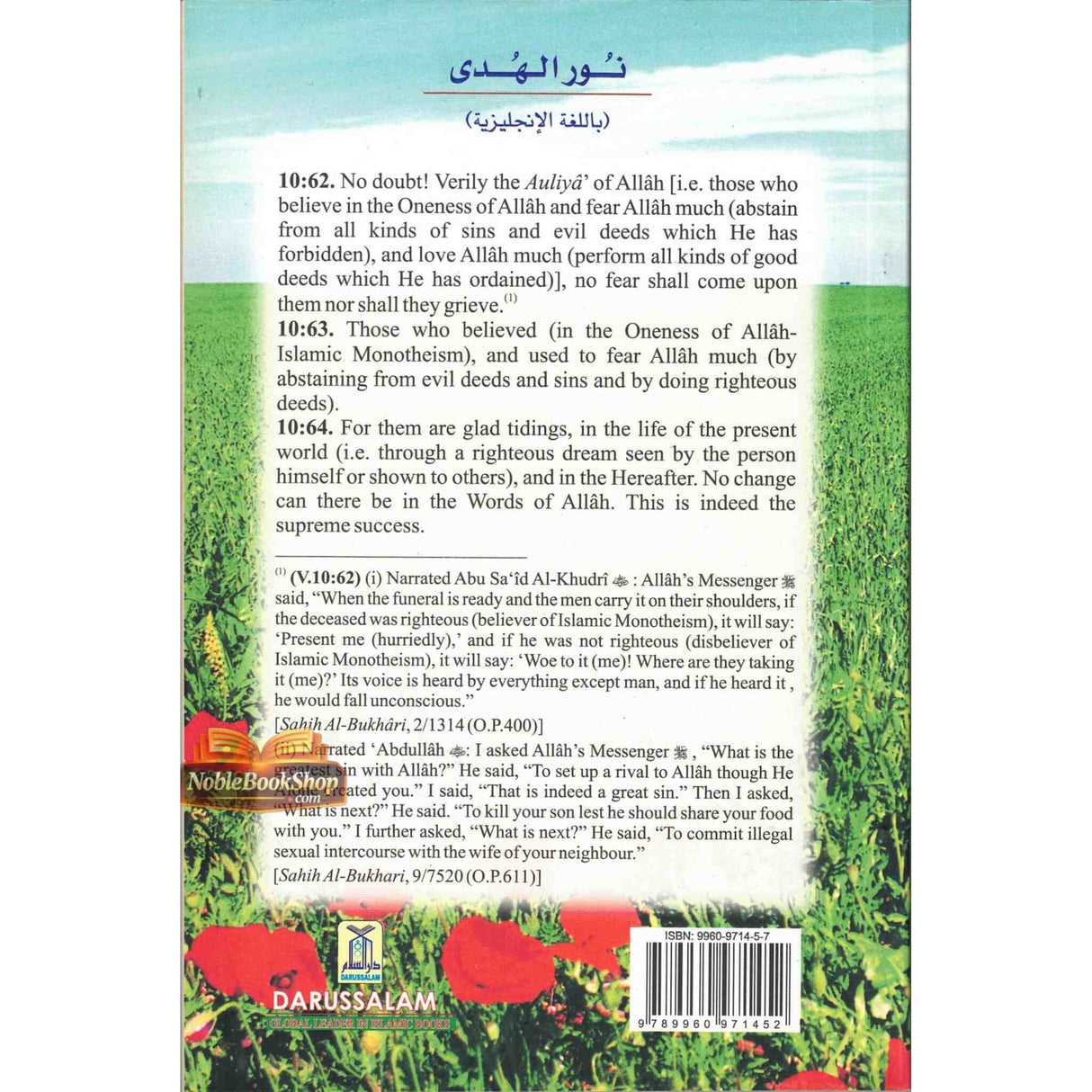 The Light of Guidance