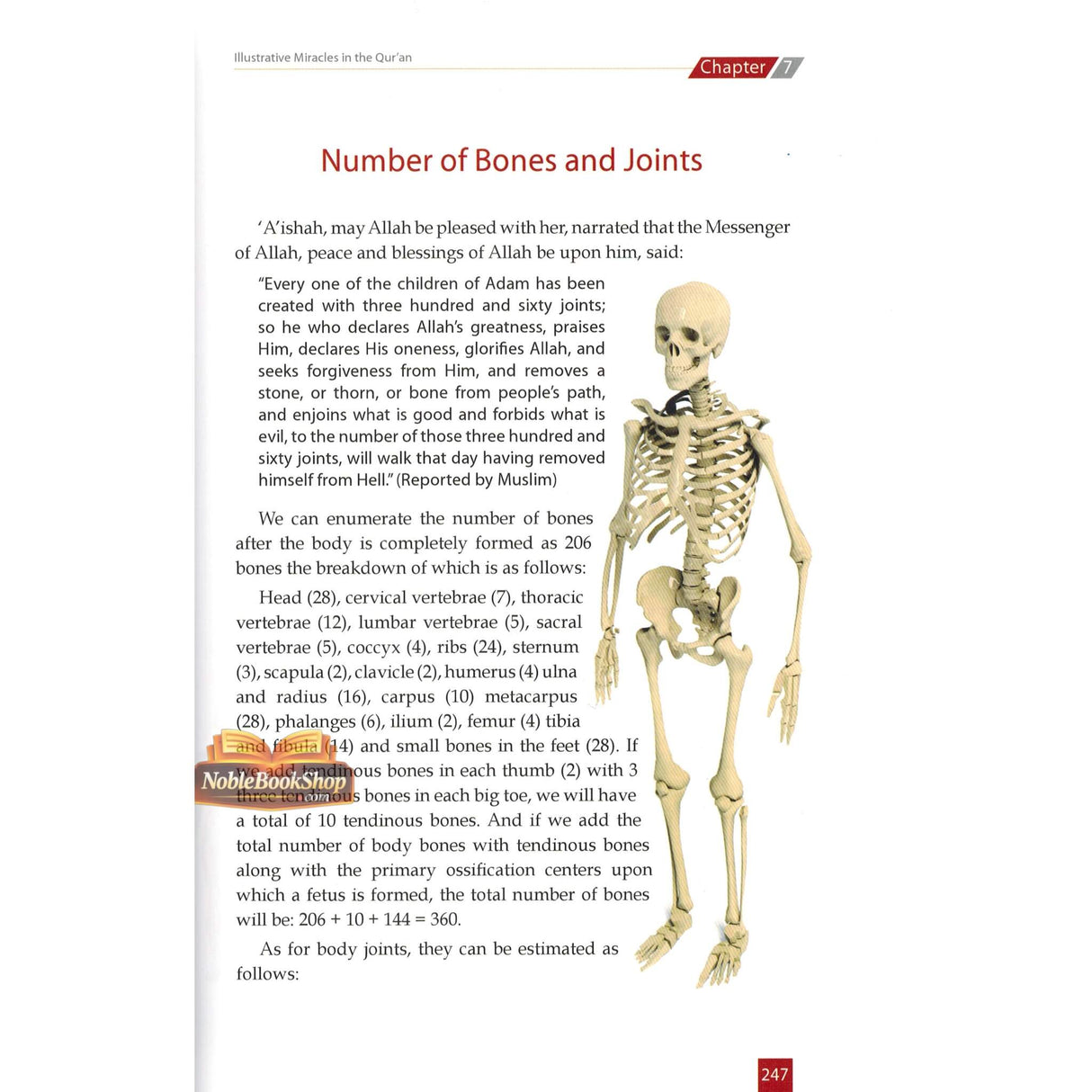 The Unchallengeable Miracles of the Quran