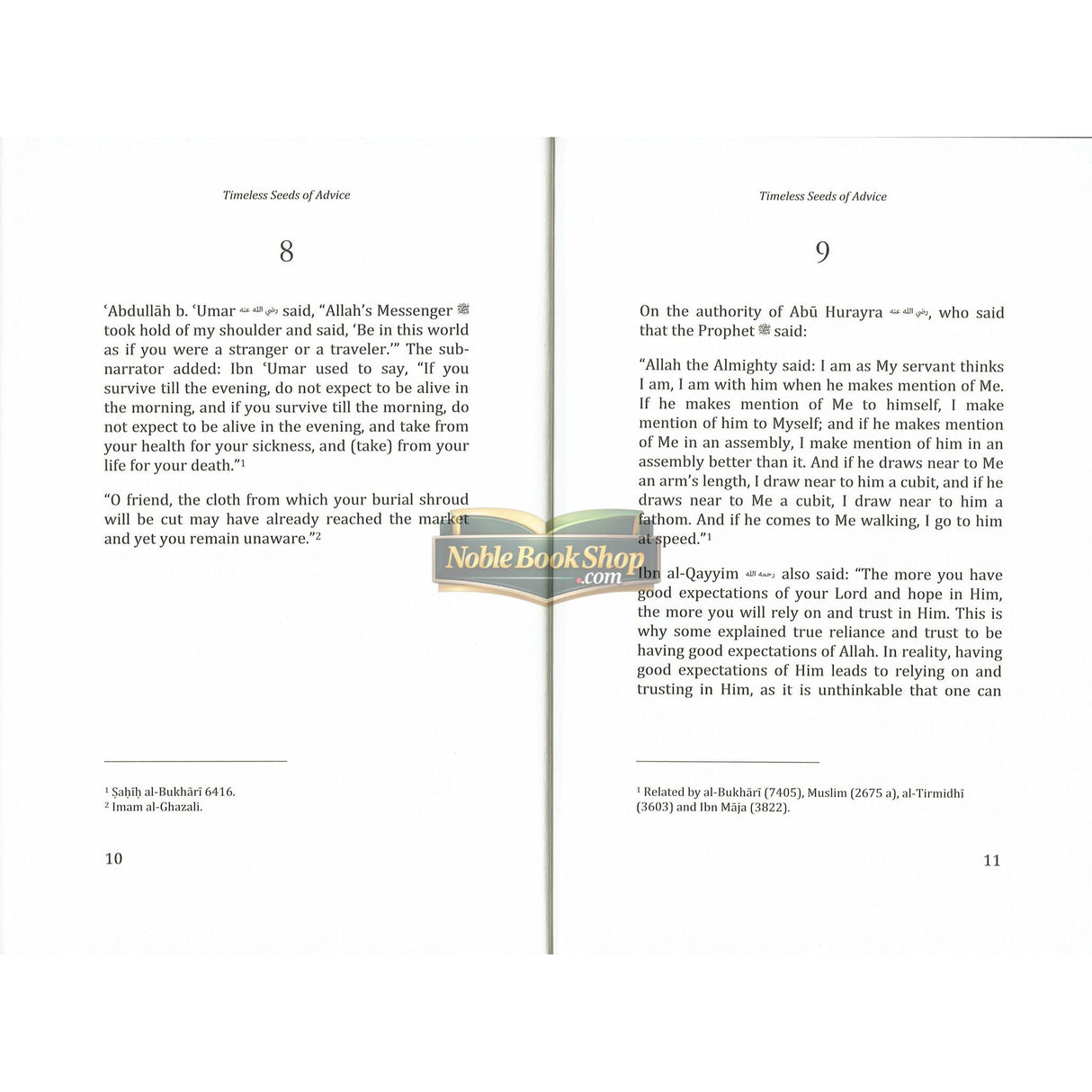 Timeless Seeds of Advice