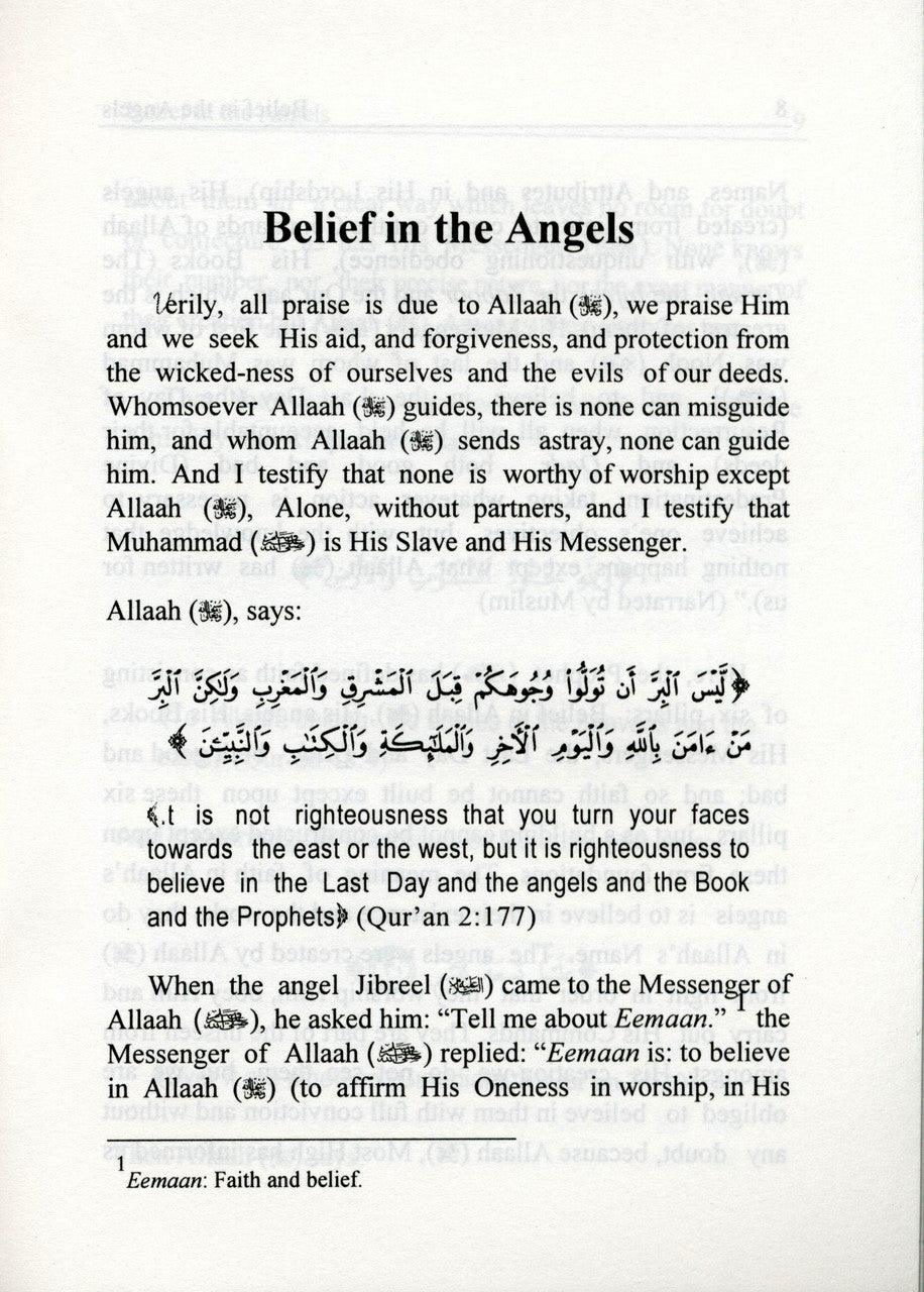 Belief In The Angels : Pocket Plus Size