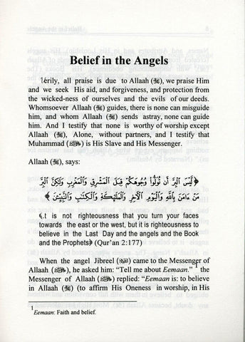 Belief In The Angels : Pocket Plus Size Belief In The Angels : Pocket Plus Size