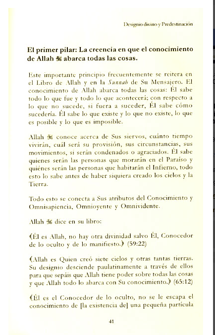 Designio Divino Y Predestinacion (La Creencia Islamica : Vol 6)