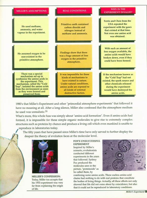 Tell Me About the Creation (21238)