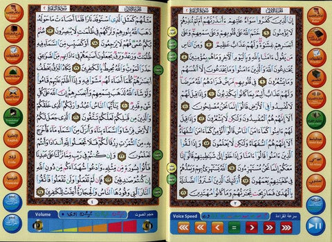 Digital Pen Reader with Tajweed Quran (Uthmani Script) (Medium size 14x19) Digital Pen Reader with Tajweed Quran (Uthmani Script) (Medium size 14x19)
