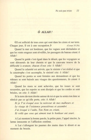 DON’T BE SAD. NE SOIS PAS TRISTE (FRENCH) DON’T BE SAD. NE SOIS PAS TRISTE (FRENCH)