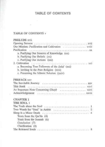 The Dreamer's Handbook - NobleBookshop The Dreamer's Handbook - NobleBookshop