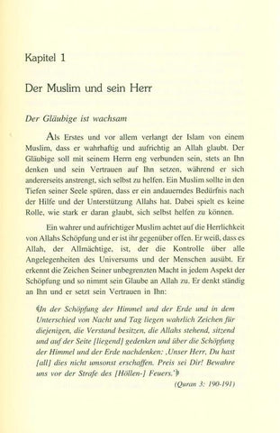 Der ideale Muslim Der ideale Muslim