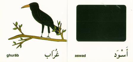 First Words from the Quran,9780955430251, First Words from the Quran,9780955430251,