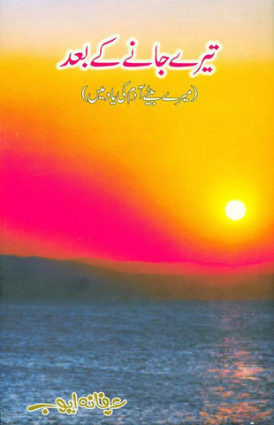 تیرے جانے کے بعد After You Were Gone (Urdu) تیرے جانے کے بعد After You Were Gone (Urdu)