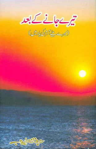 تیرے جانے کے بعد After You Were Gone (Urdu) تیرے جانے کے بعد After You Were Gone (Urdu)