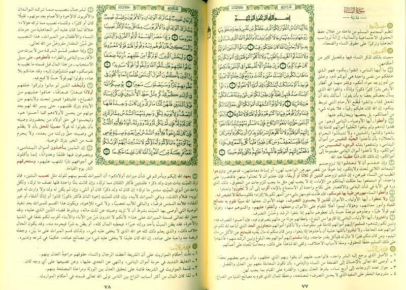Mukhtasar fi Tafsir in Arabic languageتفسير في مختصر
