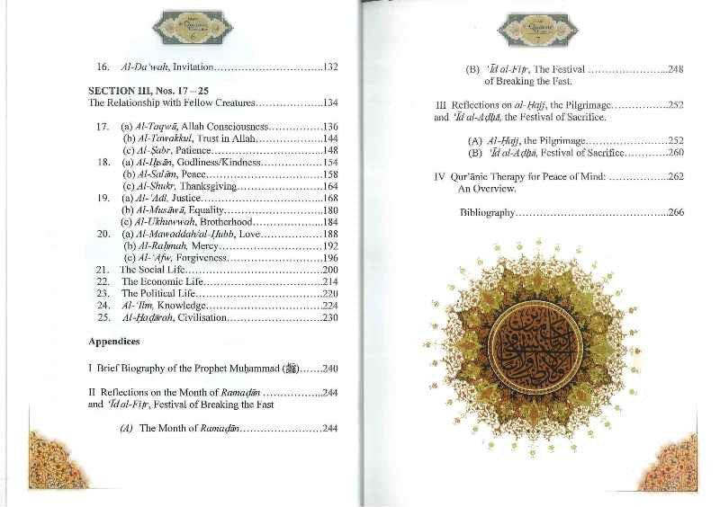 Learn The Arabic Alphabet - NobleBookshop