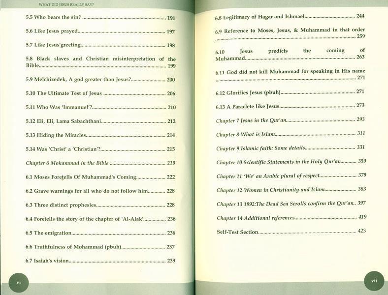 What Did Jesus Really Say?