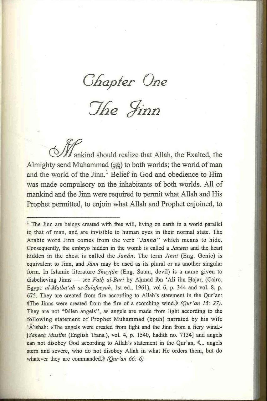 Ibn Taymiyah's Essay on the Jinn ( Demons ) - NobleBookshop