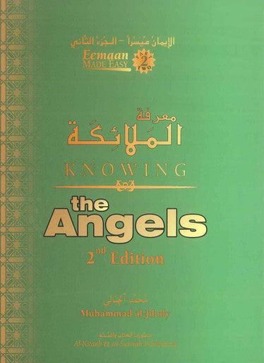 Knowing the Angels - NobleBookshop Knowing the Angels - NobleBookshop