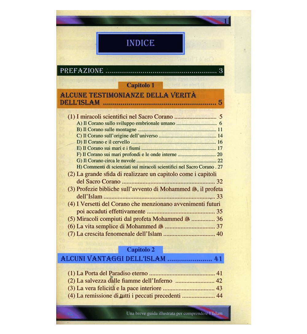 A Brief Illustrated Guide to understand (Una breve guida illustrata per comprendere)