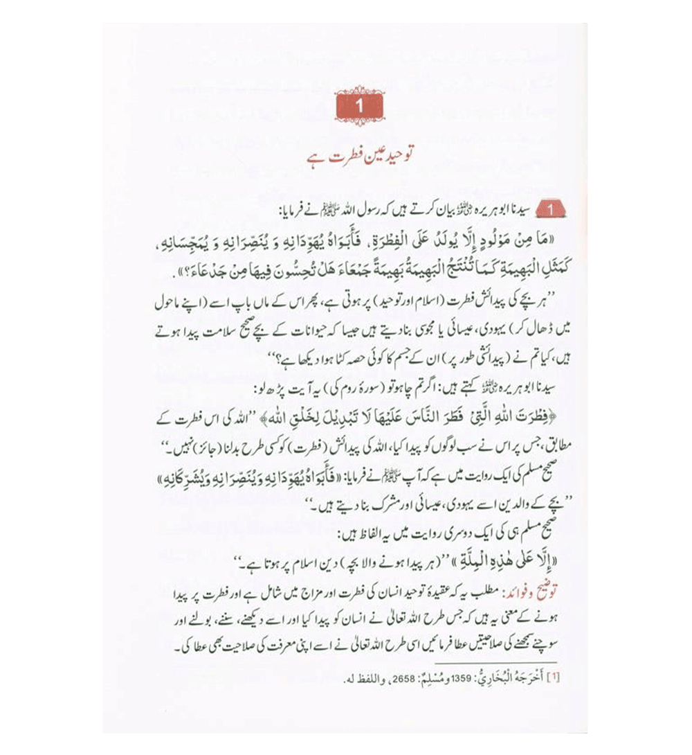 Attainment of the happiness (Sadaton ka Safar)in Urdu