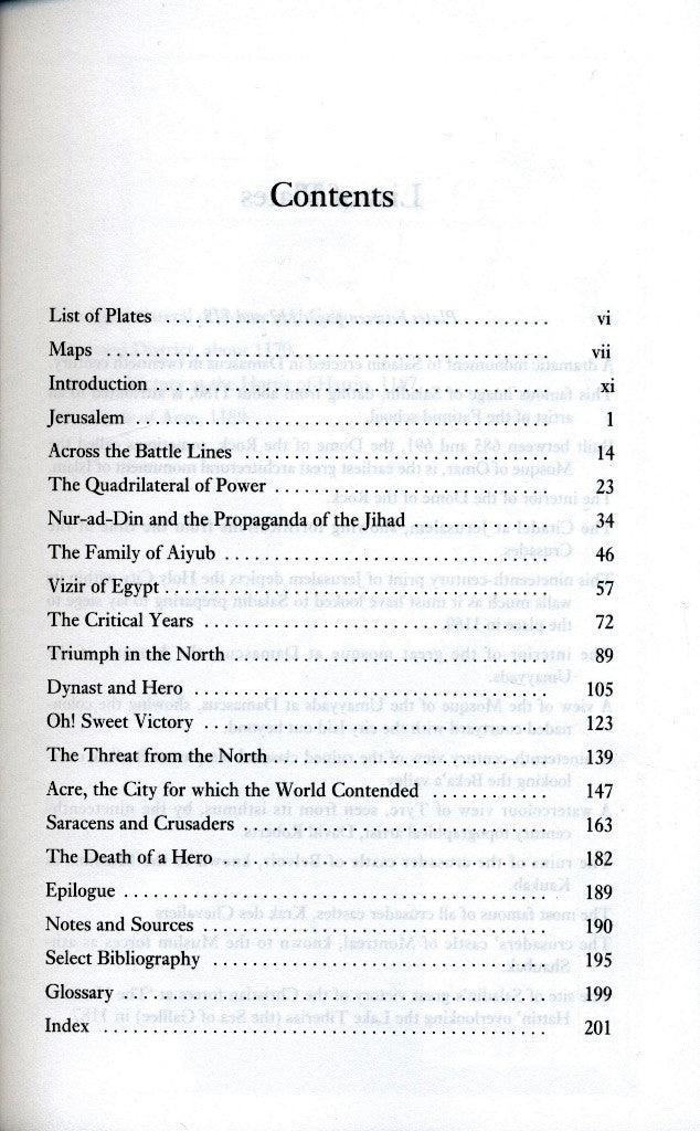 Saladin Hero of Islam