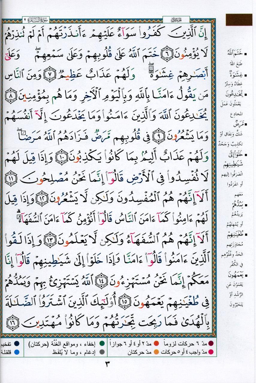 Tajweed Quran Medium Arabic Only – White Paper