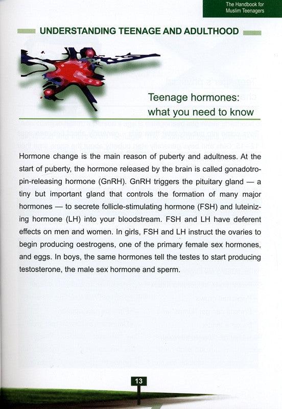 The Handbook for Muslim Teenagers - Boys Edition