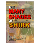 The Many Shades of Shirk