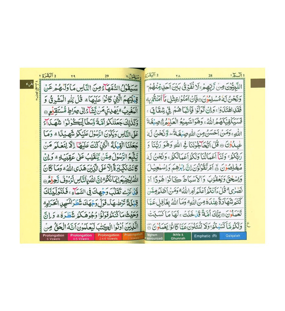 Tajweed Quran Colour Coded,Pakistani-Indian-Persian script (13x17)
