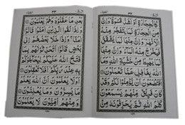 The Holy Quran in 30 Individuals parts (Persian/Urdu script)