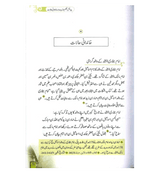 Seerat Imam Bukhari (Urdu)