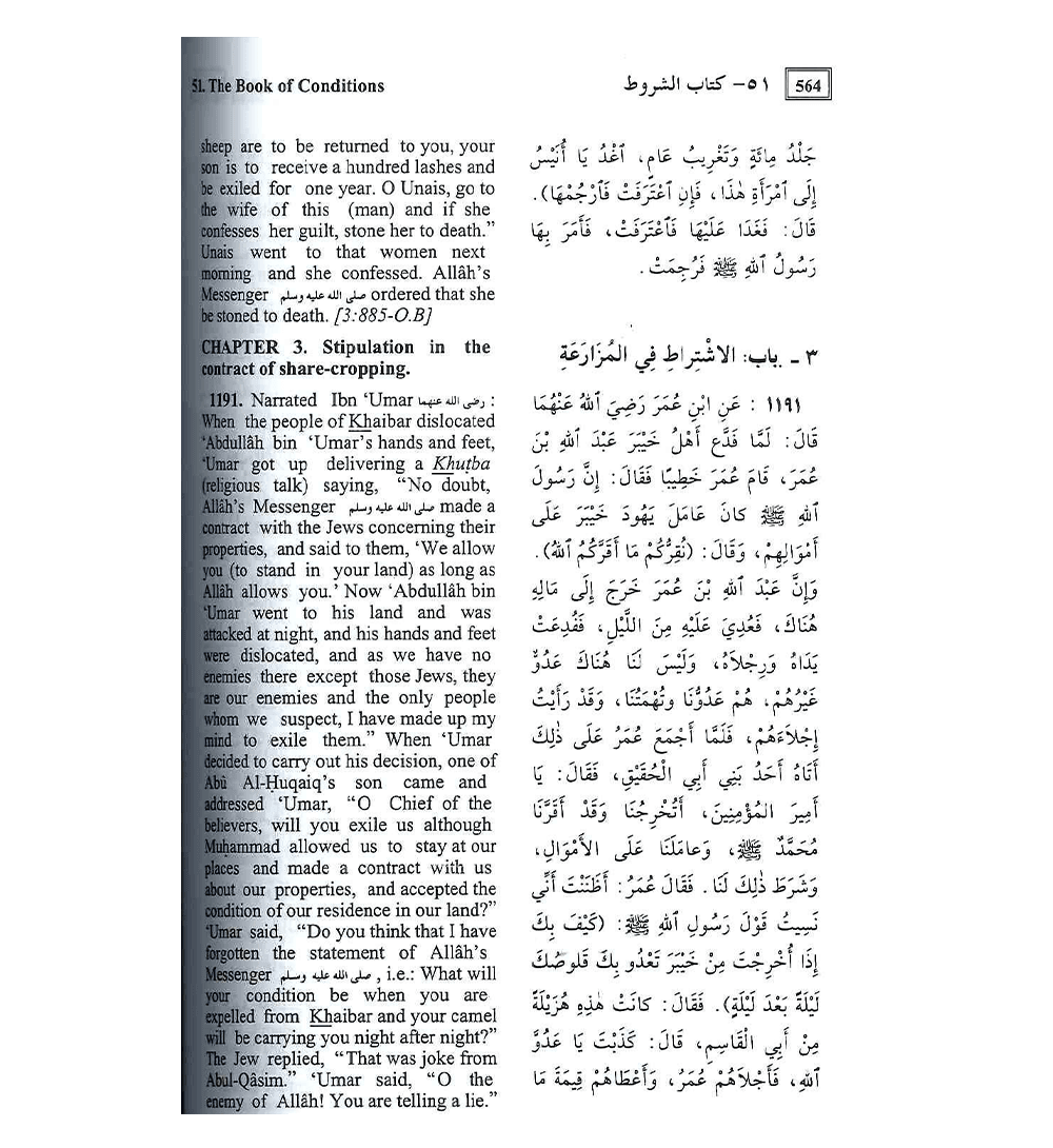 Summarized Sahih Al Bukhari - Medium Size