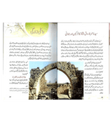 Syedina Umar Farooq ki Zindagi kay Sunehray Waqiyat : Urdu