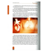 Scientific Wonders on the Earth & in Space