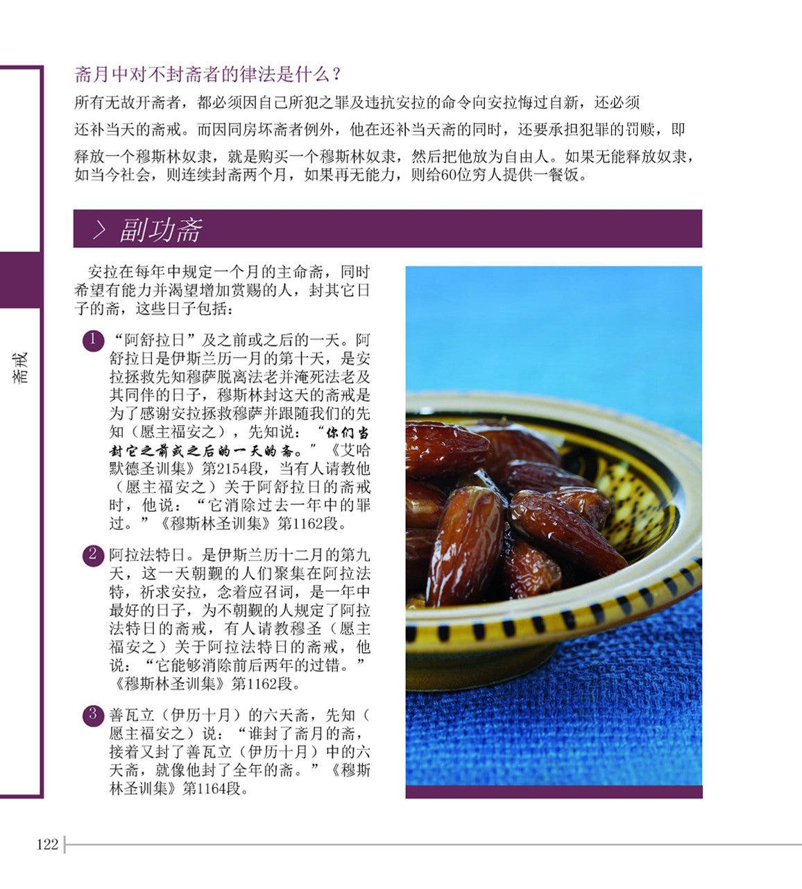 New Muslim Guide 新穆斯林指南 (Chinese)