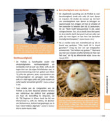 New Muslim Guide :Handleiding voor Nieuwe Moslims (Middle Dutch)