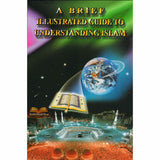 A Brief Illustrated Guide to understand (Una breve guida illustrata per comprendere)
