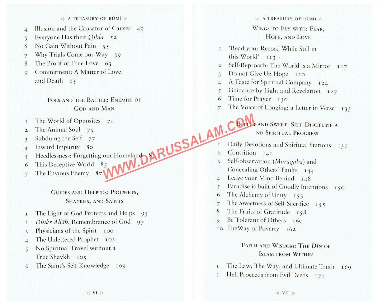 A Treasury of Rumi's Wisdom Treasury in Islamic Thought and Civilization, 9781847741028