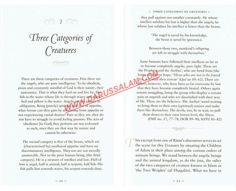 A Treasury of Rumi's Wisdom Treasury in Islamic Thought and Civilization, 9781847741028