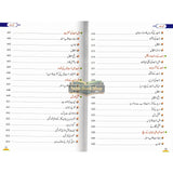 Alim-e-Aakhirat Urdu : عالِم آخرت