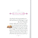 Aftab Nubuwat Ki Sunehri Shuayian (Urdu)