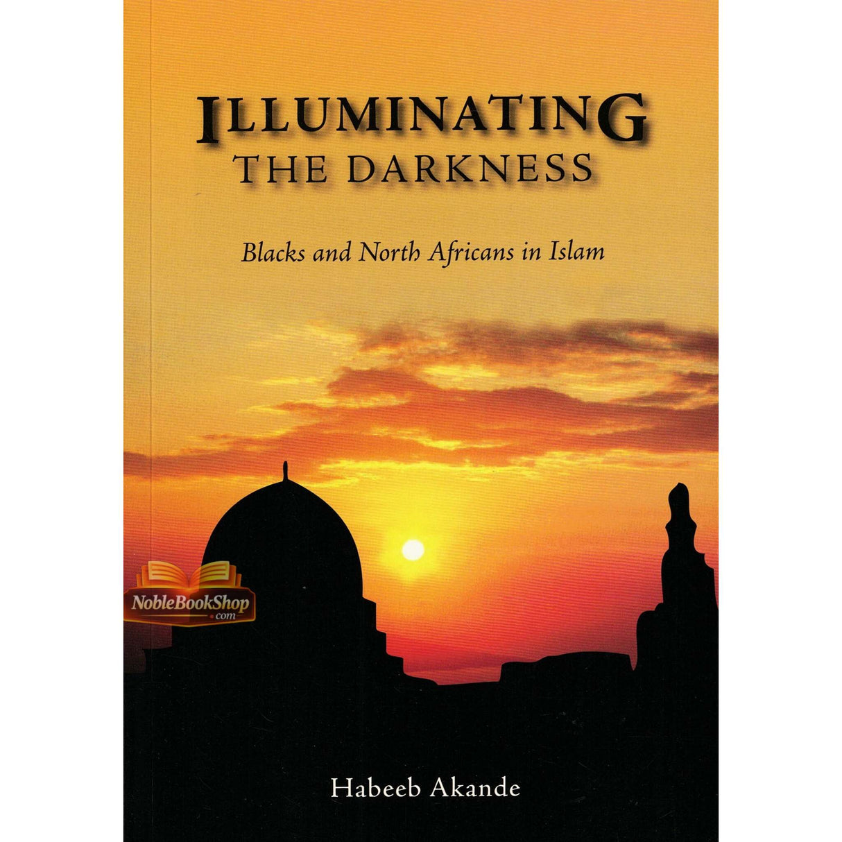 Illuminating the Darkness