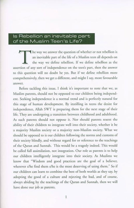 When Muslim Teens Rebel :Causes And Solutions (22667)