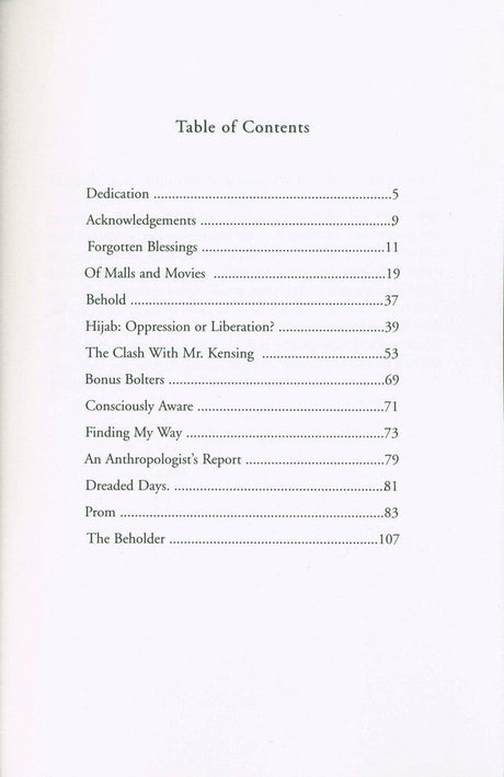 Everyday struggles : The Stories Of Muslim Teens (23176)