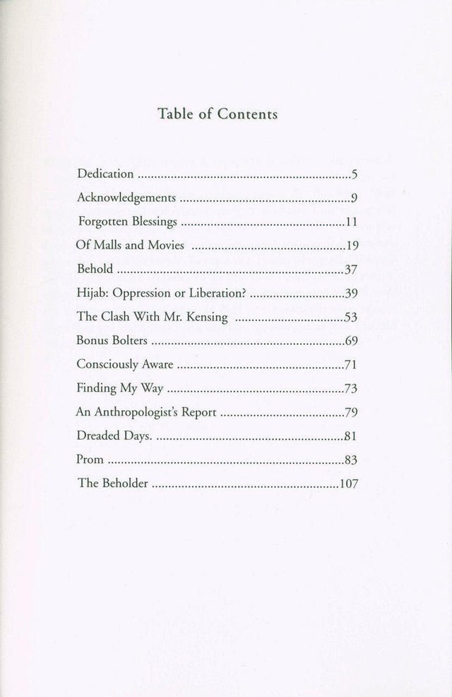 Everyday struggles : The Stories Of Muslim Teens (23176)